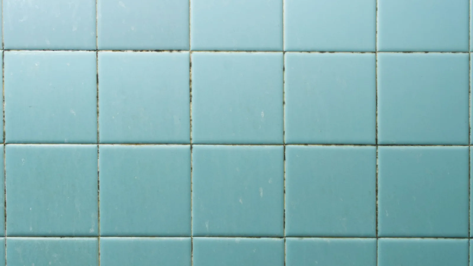 Mould spotting along the grout lines of a tiled bathroom wall, the flat surface where a spray works.