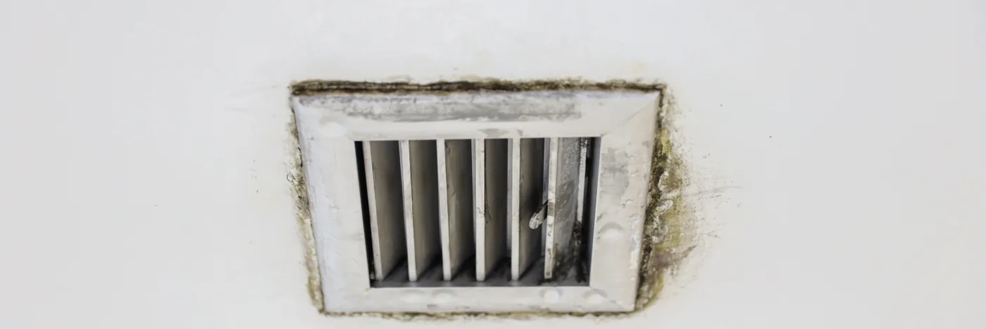 A small white wall ventilation grille ringed with brown and green staining.